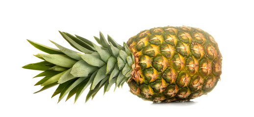 Large fresh ripe fruit pineapple on a white isolated background. fruit, summer.