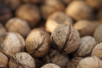 a lot of walnuts in the peel closeup