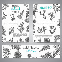 Hand drawn herbs and wild flowers brochure Vintage collection of Plants Vector illustrations in sketch style