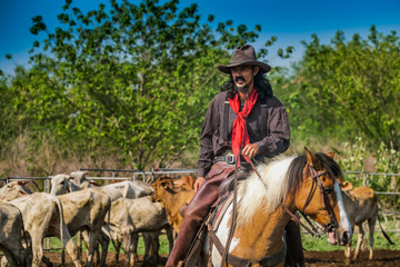 Asian Man Cowboy is catching a calf To be branded in a ranch