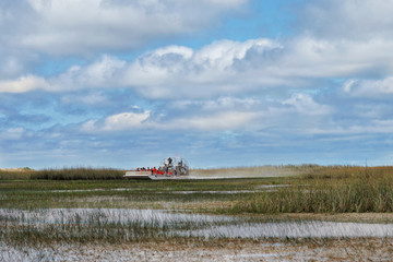 Fototapeta premium Bootsfahrt in den Everglades Florida
