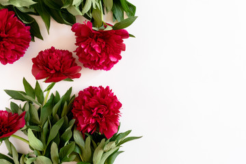 Border frame made of red peonies with green leaves on a white background