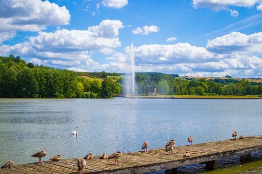 Lake in middle of a park, with a dock and a lot of ducks at the foreground and a fountain, trees and mountains at the background