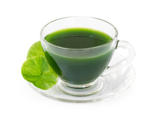 Gotu kola juice drink, Asiatic pennywort, Indian pennywort with green leaf isolated on white background, herb and medical concept