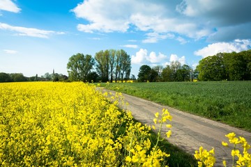 Landschaftsbild auf dem Land, Lage (Heiden)