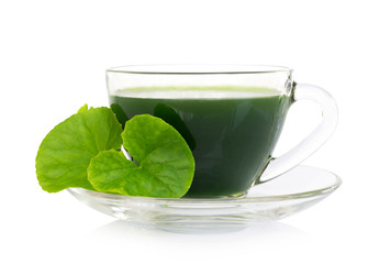 Gotu kola juice drink, Asiatic pennywort, Indian pennywort with green leaf isolated on white background, herb and medical concept