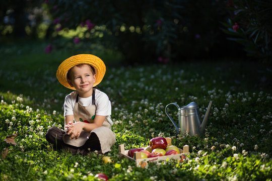 young boy gardener harvesting apples baby photo session apple juice plays eating apples
