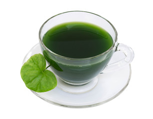 Gotu kola juice drink, Asiatic pennywort, Indian pennywort with green leaf isolated on white background, herb and medical concept