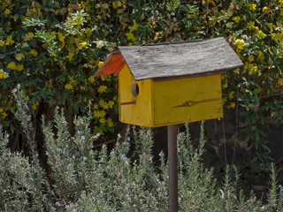 Yellow weathered bird house in a home garden under the bright sunlight