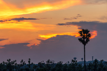 Beautiful sunset with silhouette palm trees on the twilight sky background in Thailand.