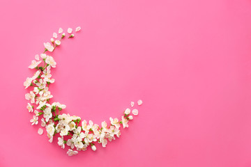 Composition with beautiful flowers on color background