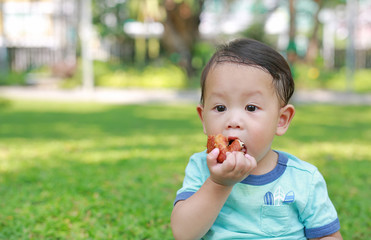 Asian baby boy enjoy eating fried chicken in the green garden outdoor.