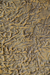 Blurred abstract background. The texture of a painted concrete rough surface with bulges of bronze color. Cropped shot, vertical, place for text, nobody. Design concept.