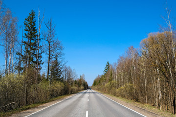 Landscape with the image of country road in a forest