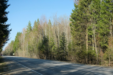 Obraz premium Landscape with the image of country road in a forest