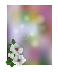 Vector background with white wild rose flower.