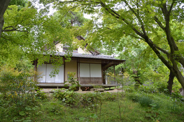 新緑の林の中にたたずむ数寄屋（茶室）