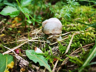 rrem © 2 feel free...