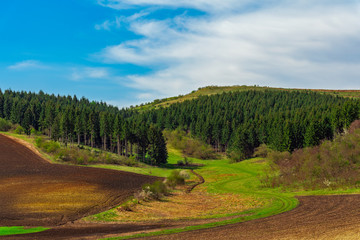 Fototapeta na wymiar Spring green field and plowed field near the pine forest 
