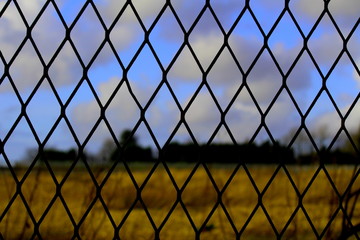 Fences 