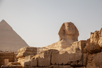 Fototapeta na wymiar The Great Sphinx and the Pyramid