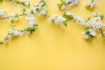 Border of spring white fruits blossom branches on yellow. Floral pattern. Banner or template. View from above, flat lay.