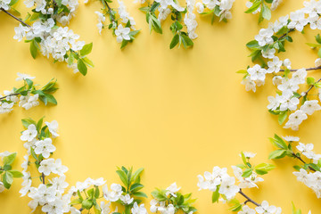 Fototapeta na wymiar Border of spring white fruits blossom branches on yellow. Floral pattern. Banner or template. View from above, flat lay.