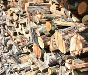 Ordered wood logs prepared for winter