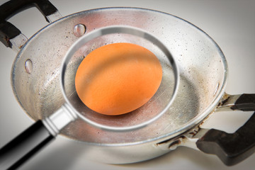 Quality control about salmonella bacterium on eggs on cooking pan - HACCP (Hazard Analyses and Critical Control Points) concept image with egg seen through a magnifying glass