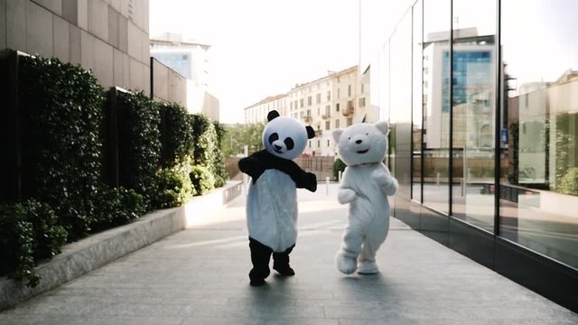 Panda And Teddy Bear Dancing