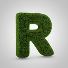 Green moss uppercase letter R isolated on white background