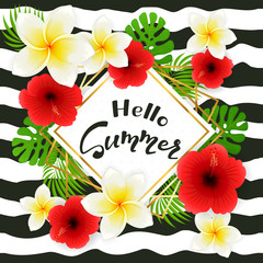 Hello Summer on Card with Flower Frangipani and Hibiscus