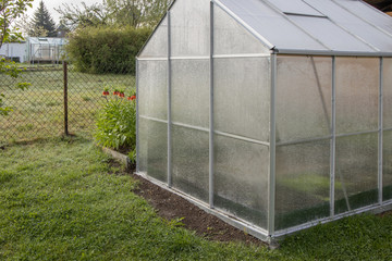 Garten Pflanzen Gr&uuml;n