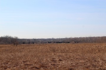Obraz premium The brown grass field in the countryside on a clear day.