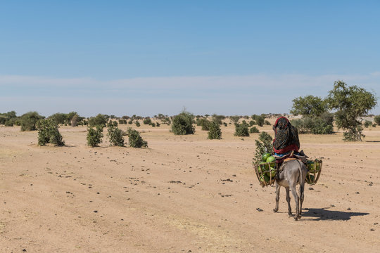 Woman On Her Donkey, Abeche, Chad