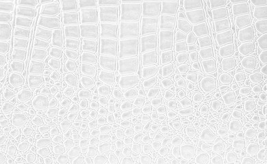 leather texture background