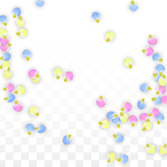 Vector Realistic Colorful Petals Falling on Transparent Background.  Spring Romantic Flowers Illustration. Flying Petals. Sakura Spa Design. Blossom Confetti. Design Elements for Wedding Decoration.