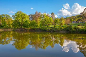 Fototapeta na wymiar beautiful spring nature ,trees reflection in the lake water 