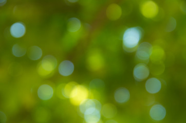 Fototapeta premium Naturalne tło zamazane pole.