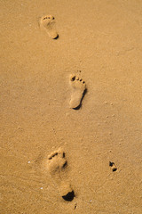 Fototapeta na wymiar Fussspuren im Sand 