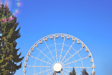 carousel attraction ride white ferris wheel in amusement park in front of blue sky