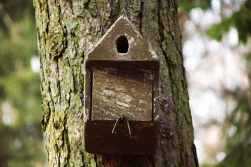Vogelhaus, Nistkasten im Wald