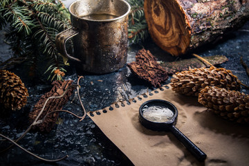 Rainy still life with magnifying glass and forest decor elements - tree branches and pine cones