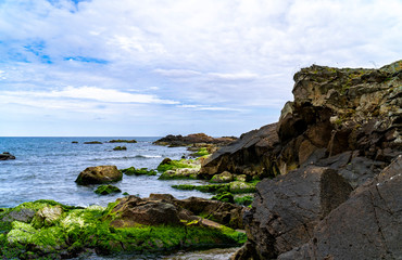 Fantastic close-up shots of green sea moss on rocks with sea waves.