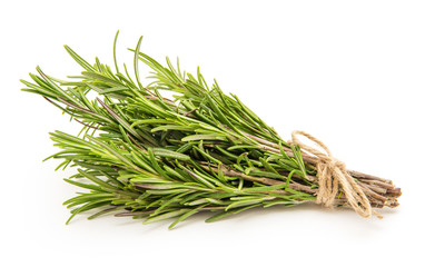 Rosemary bound on a white background