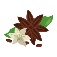 Flowers nature drawing isolated