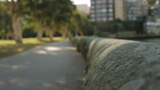 Racking Focus. Rf. Handheld In a park