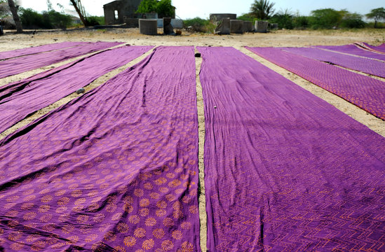 Bolts of brightly coloured dyed and block printed cotton laid out to dry in the sun, Gujarat