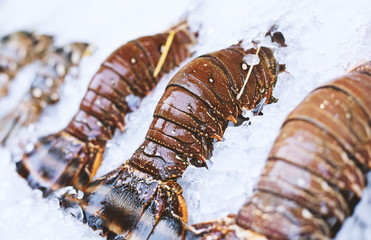 Fresh lobsters on ice for sale at restaurant