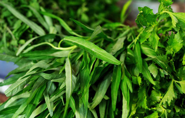 greens on the street market